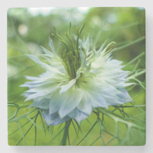 Cornflower Stone Coaster