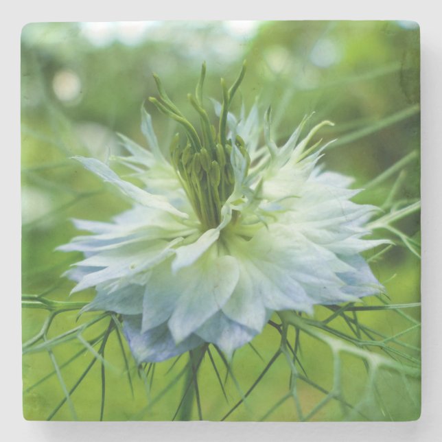 Cornflower Stone Coaster (Front)