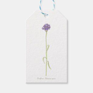 Cornflower watercolor gift tags