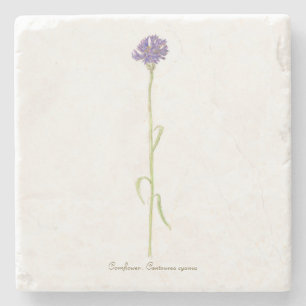 Cornflower watercolor stone coaster