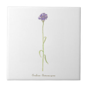 Cornflower watercolor tile