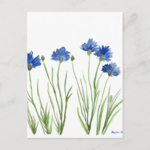 Cornflowers blue floral watercolor rustic pretty postcard