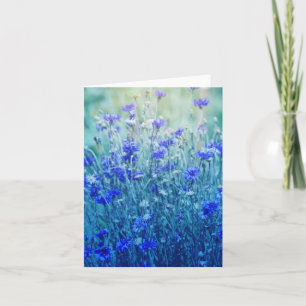 Cornflowers Card