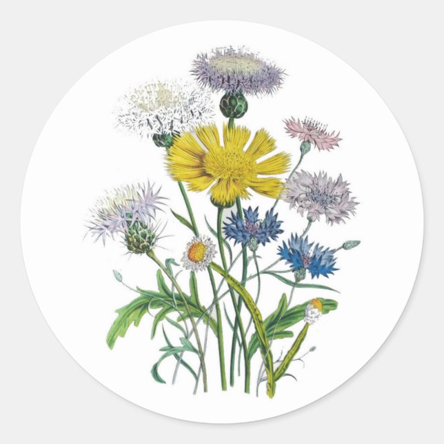 Cornflowers Classic Round Sticker (Front)