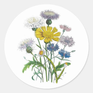 Cornflowers Classic Round Sticker