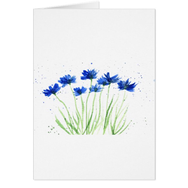 Cornflowers flowers (Front)