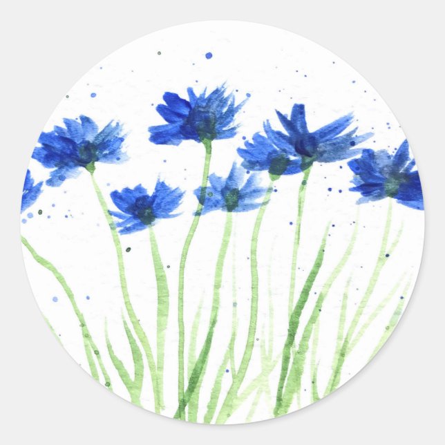Cornflowers flowers floral wildflower blue  classic round sticker (Front)