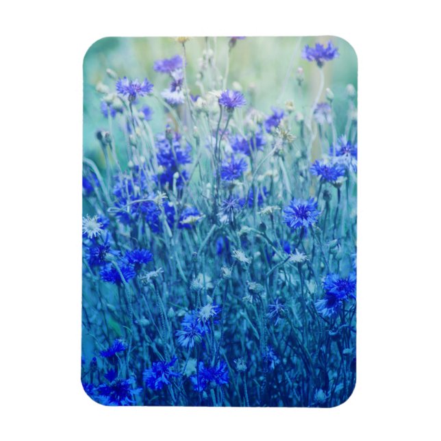 Cornflowers Magnet (Vertical)