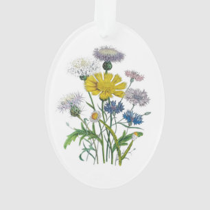 Cornflowers Ornament