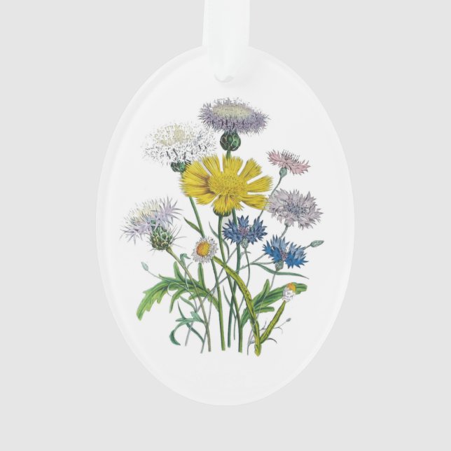 Cornflowers Ornament (Back)