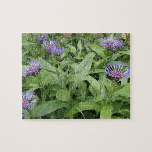 Cornflowers Puzzle