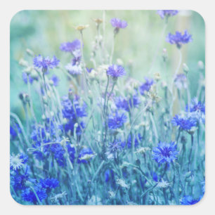 Cornflowers Square Sticker