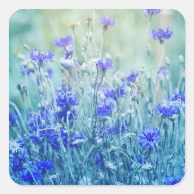 Cornflowers Square Sticker (Front)