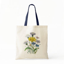 Cornflowers