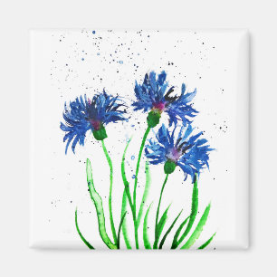 Cornflowers watercolour magnet