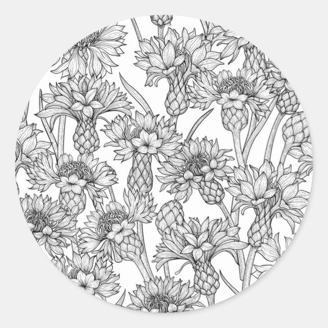 Cornflowers, wild flowers in black and white classic round sticker (Front)
