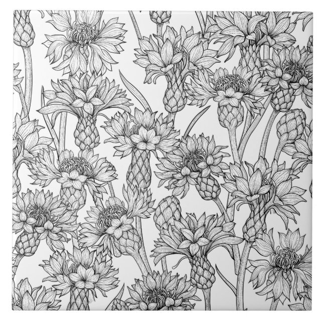 Cornflowers, wild flowers in black and white tile (Front)