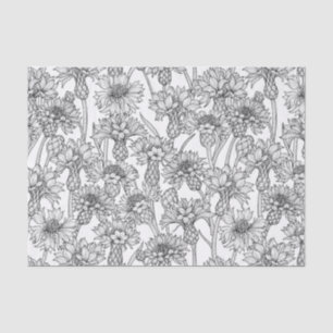 Cornflowers, wild flowers in black and white tissue paper