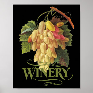 Cornichons blancs Grapes Poster