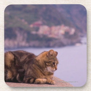 Corniglia, Cinque Terre, Italy Coaster