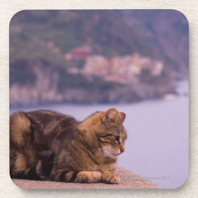 Corniglia, Cinque Terre, Italy Coaster (Front)