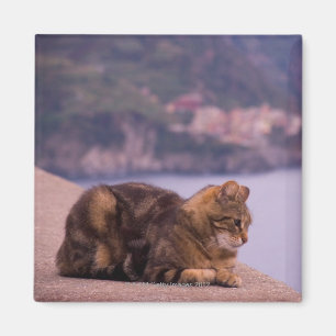 Corniglia, Cinque Terre, Italy Magnet