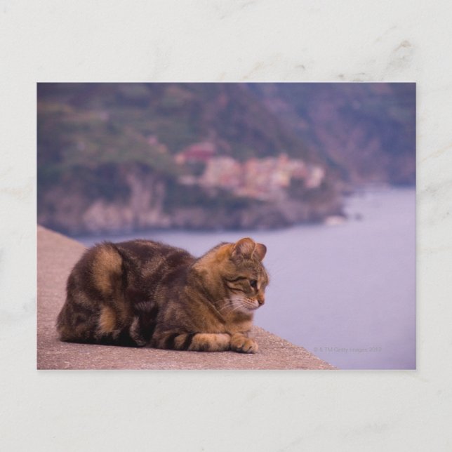 Corniglia, Cinque Terre, Italy Postcard (Front)