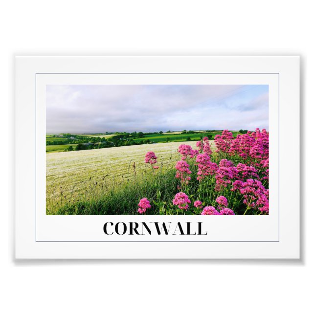 Cornish Countryside, Lanteglos, Cornwall Photo Print (Front)