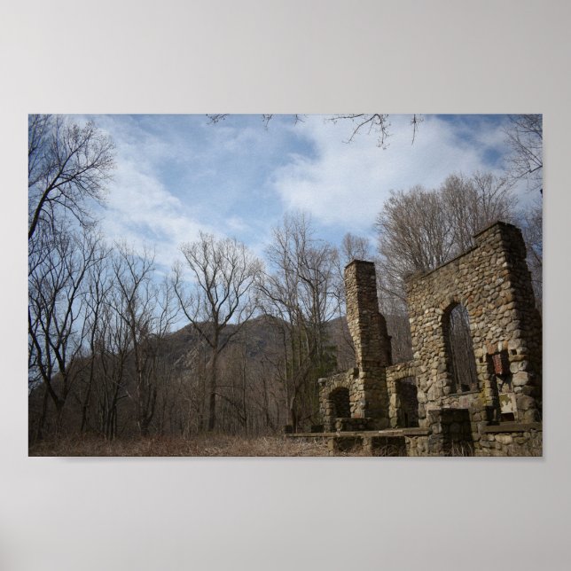 Cornish Estate Ruins Poster (Front)