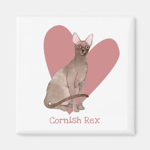 Cornish Rex Cat Watercolor Kitty Pink Heart Magnet