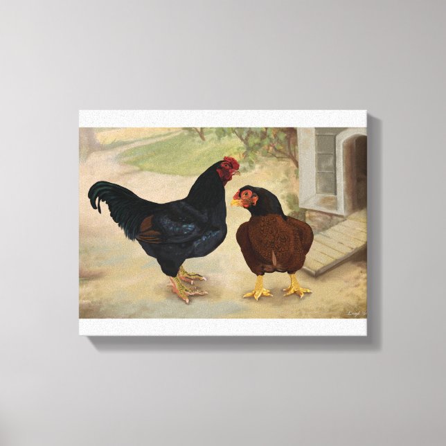 Cornish Rooster and Hen Canvas Print (Front)