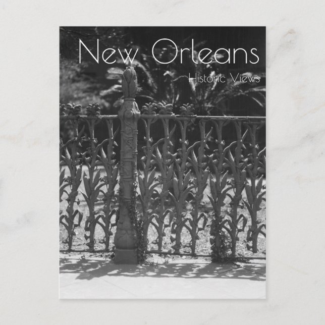Cornstalk Wrought Iron Fence Postcard (Front)