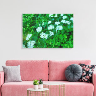 Cornus sanguinea canvas print