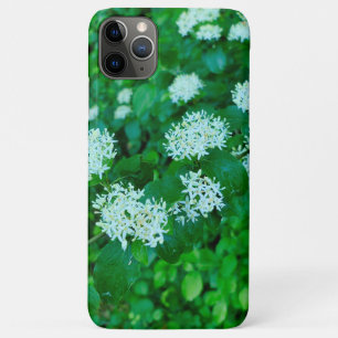 Cornus sanguinea  iPhone 11 pro max case