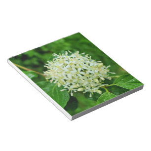 Cornus sanguinea notepad