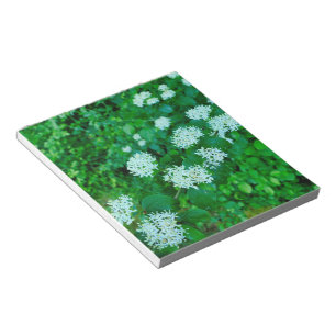 Cornus sanguinea notepad