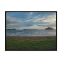 Coromandel (New Zealand)