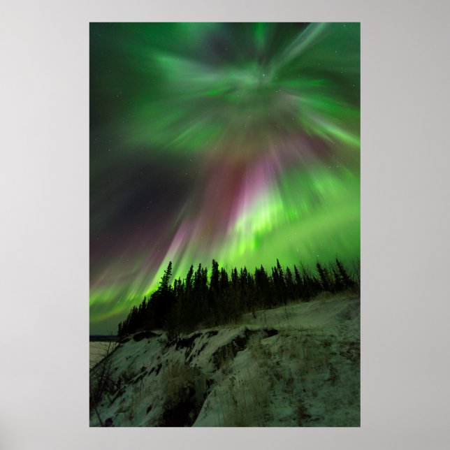 Corona Aurora Poster (Front)