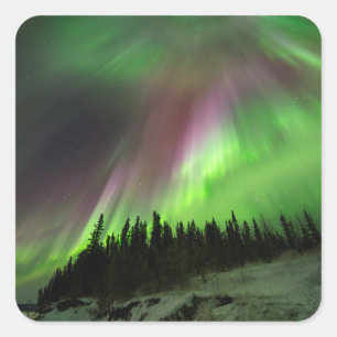 Corona Aurora Square Sticker