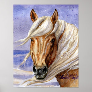 Corona of Sand Wash Basin HMA Colorado Poster