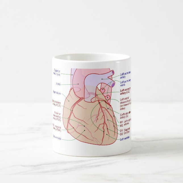 Coronary Arteries Circulation Diagram Human Heart Coffee Mug (Center)