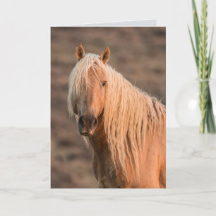 Corona's Dawn Portrait Wild Horse Greeting Card