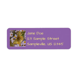 Coronis Fritillary on Aster Flowers at Grand Teton