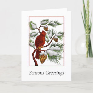 Corporate Christmas Card with  Red Cardinal