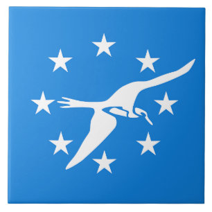 Corpus Christi City Flag Tile