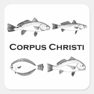 Corpus Christi Fishing  - Saltwater Fish Square Sticker