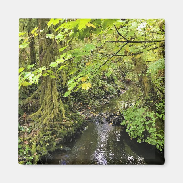 Corral Creek, Oregon Magnet (Front)