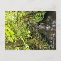 Corral Creek