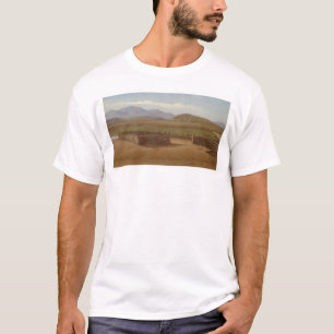 Corral, Rancho Santa Margarita (1162) T-Shirt