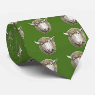 Corriedale sheep tie